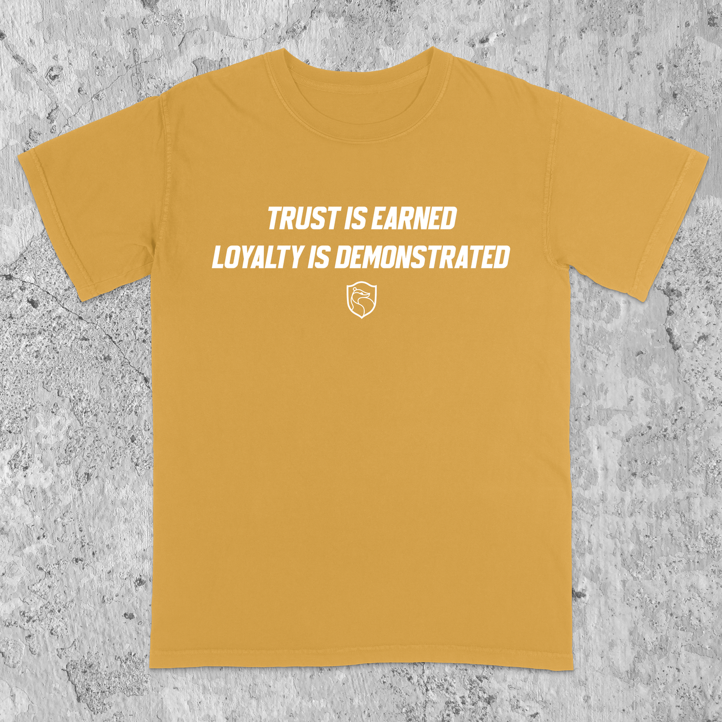Hufflepuff Pride Ver. 1