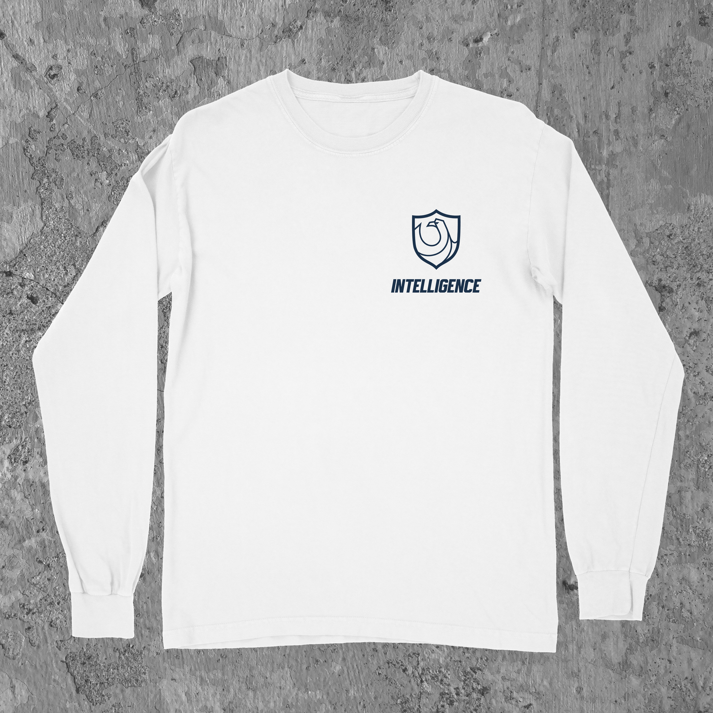 Ravenclaw Pride LS Ver. 2