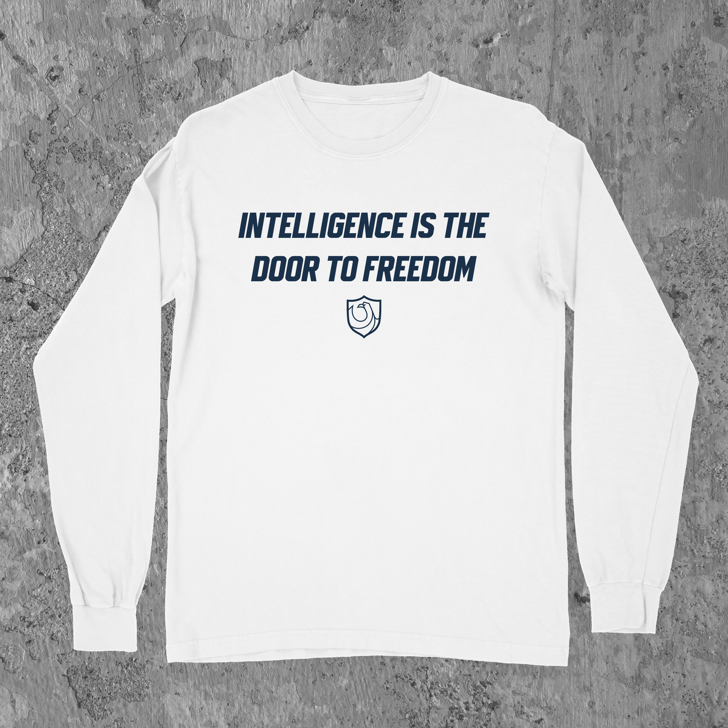 Ravenclaw Pride LS Ver. 1
