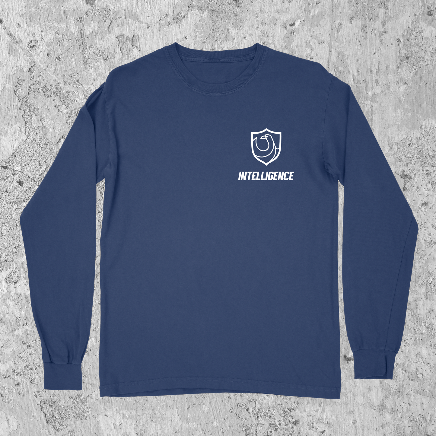 Ravenclaw Pride LS Ver. 2