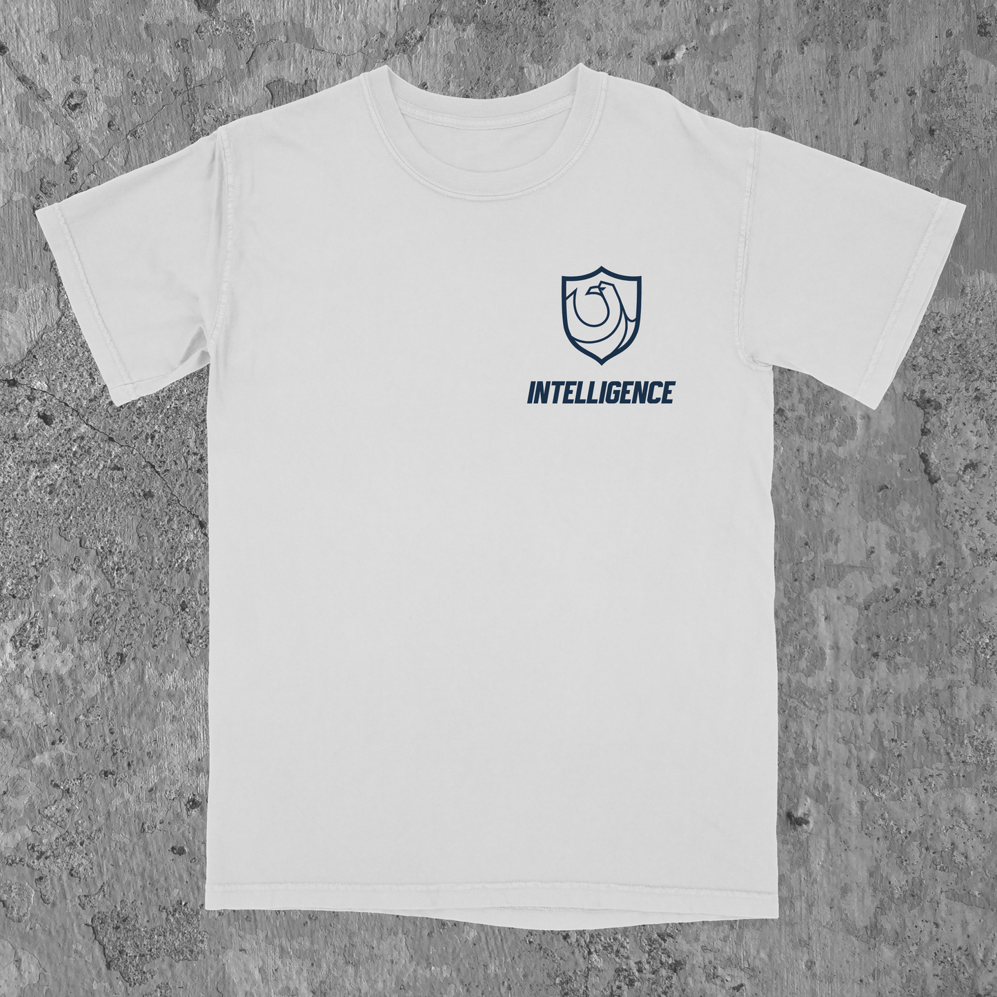Ravenclaw Pride Ver. 2