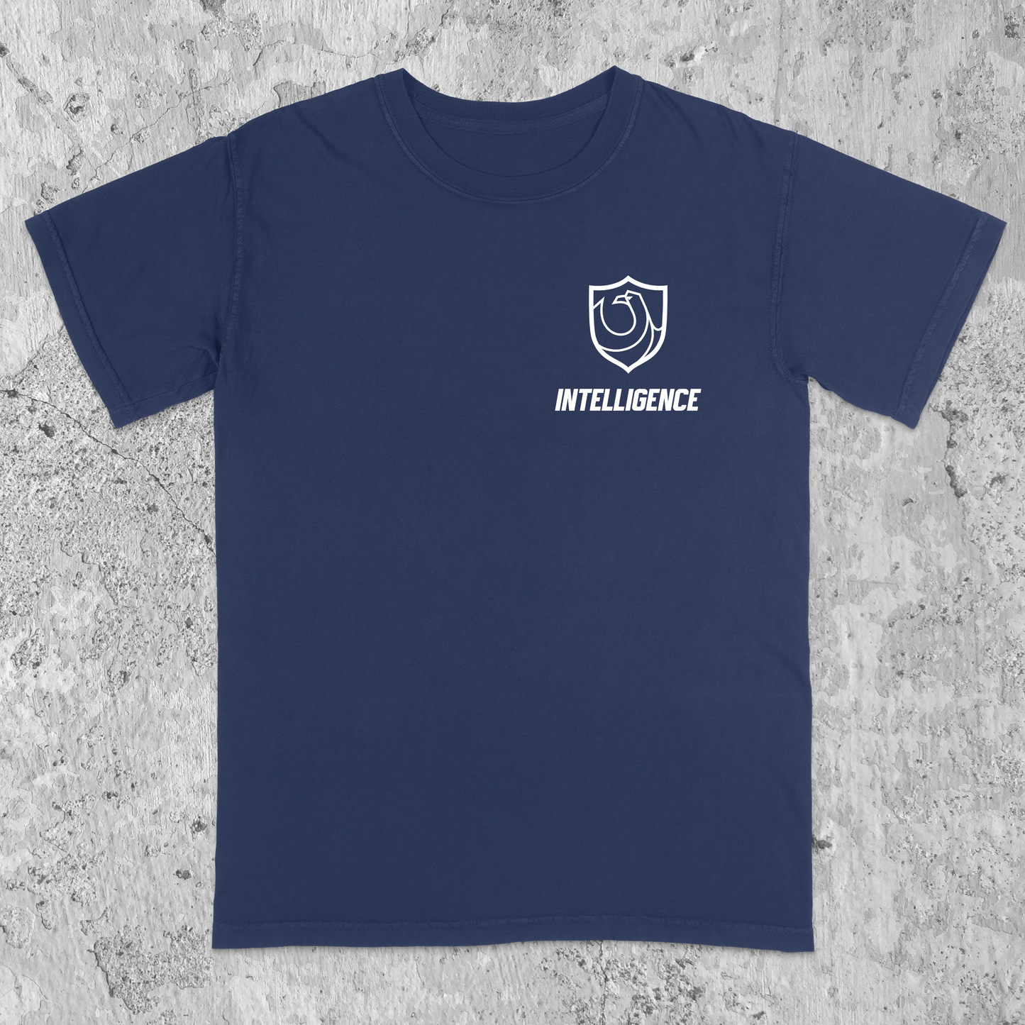 Ravenclaw Pride Ver. 2