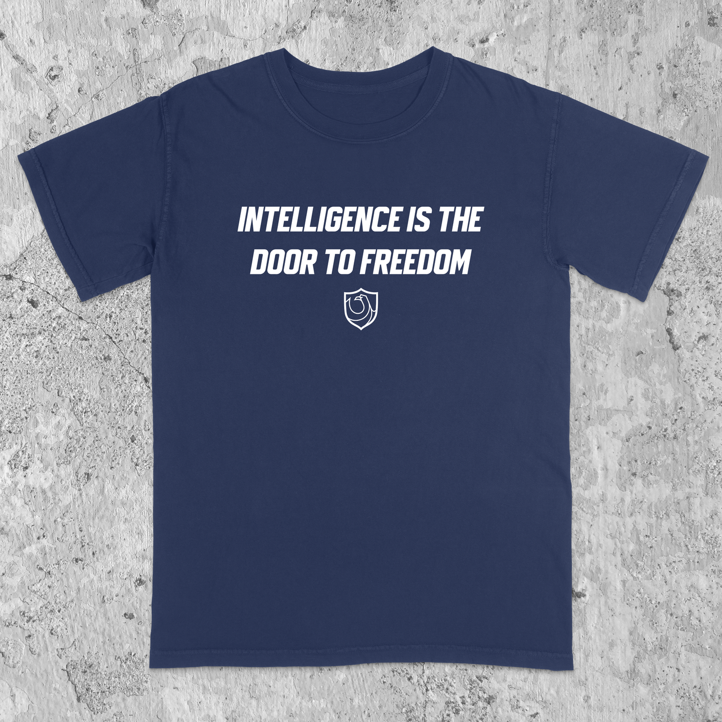 Ravenclaw Pride Ver. 1