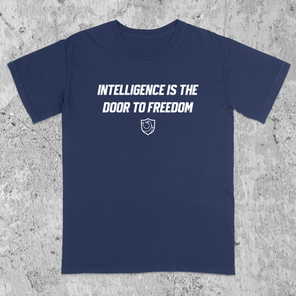 Ravenclaw Pride Ver. 1